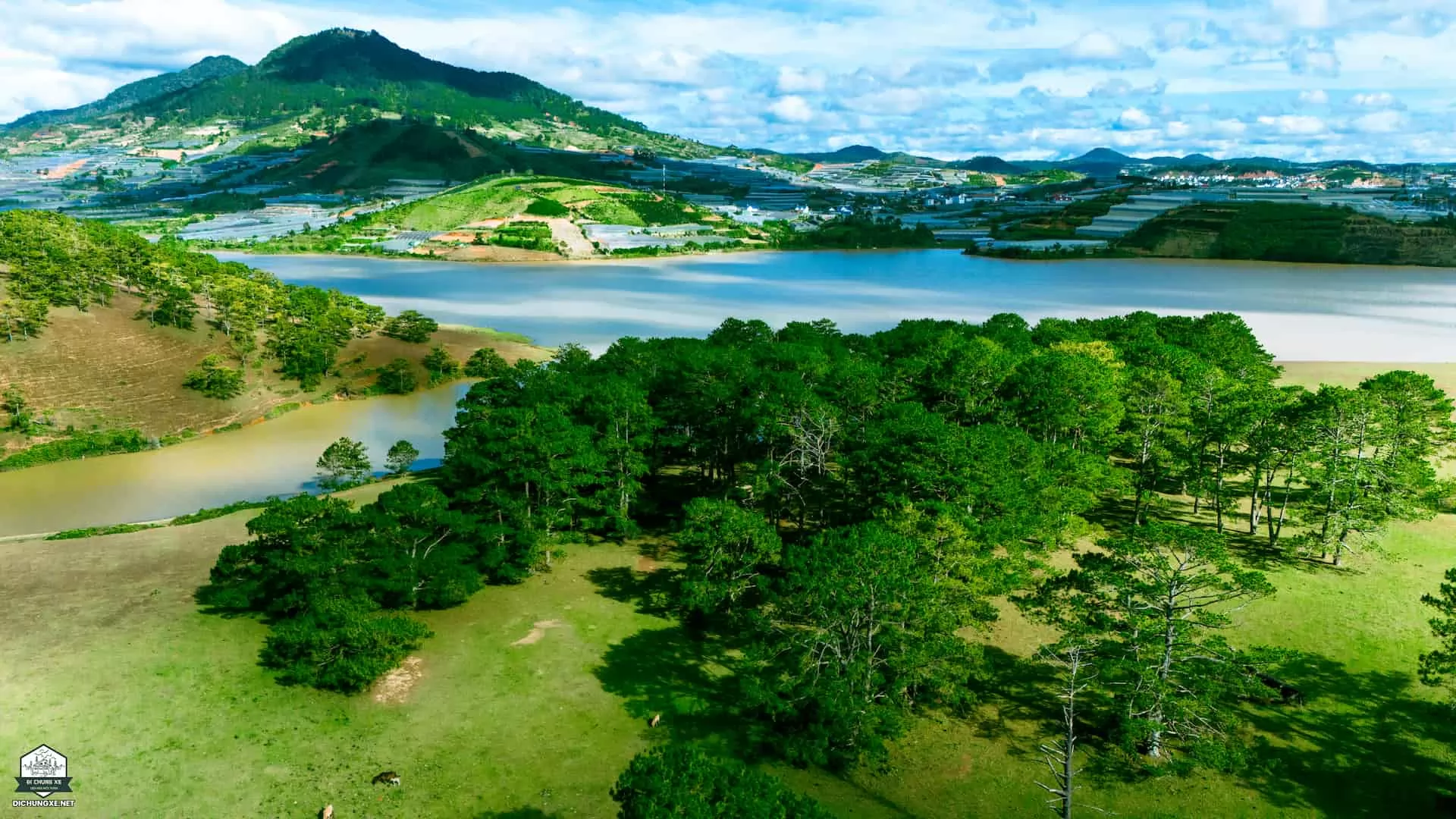 Hồ Dankia - Cây Thông cô đơn - Đồi 3 cây thông